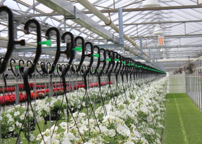0761 TabsLongBaylr - Echo - Cherry Creek Systems - Greenhouse Automation Products