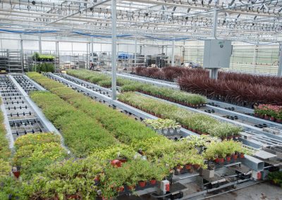 Convey1 - Products - Cherry Creek Systems - Greenhouse Automation Products