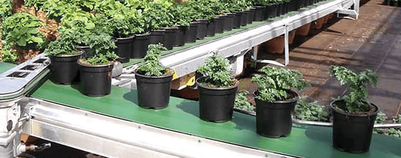 Conveyor PaceSetter - Echo Veyor - Cherry Creek Systems - Greenhouse Automation Products